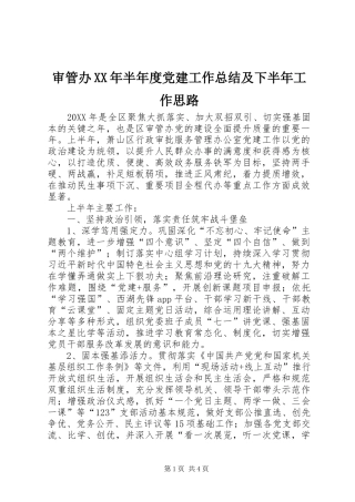 审管办半年度党建工作总结及下半年工作思路