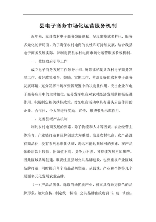 县电子商务市场化运营服务机制