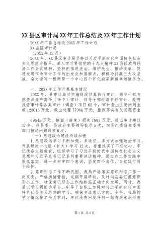 县区审计局工作总结及工作计划