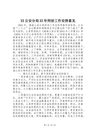 公安分局刑侦工作安排意见
