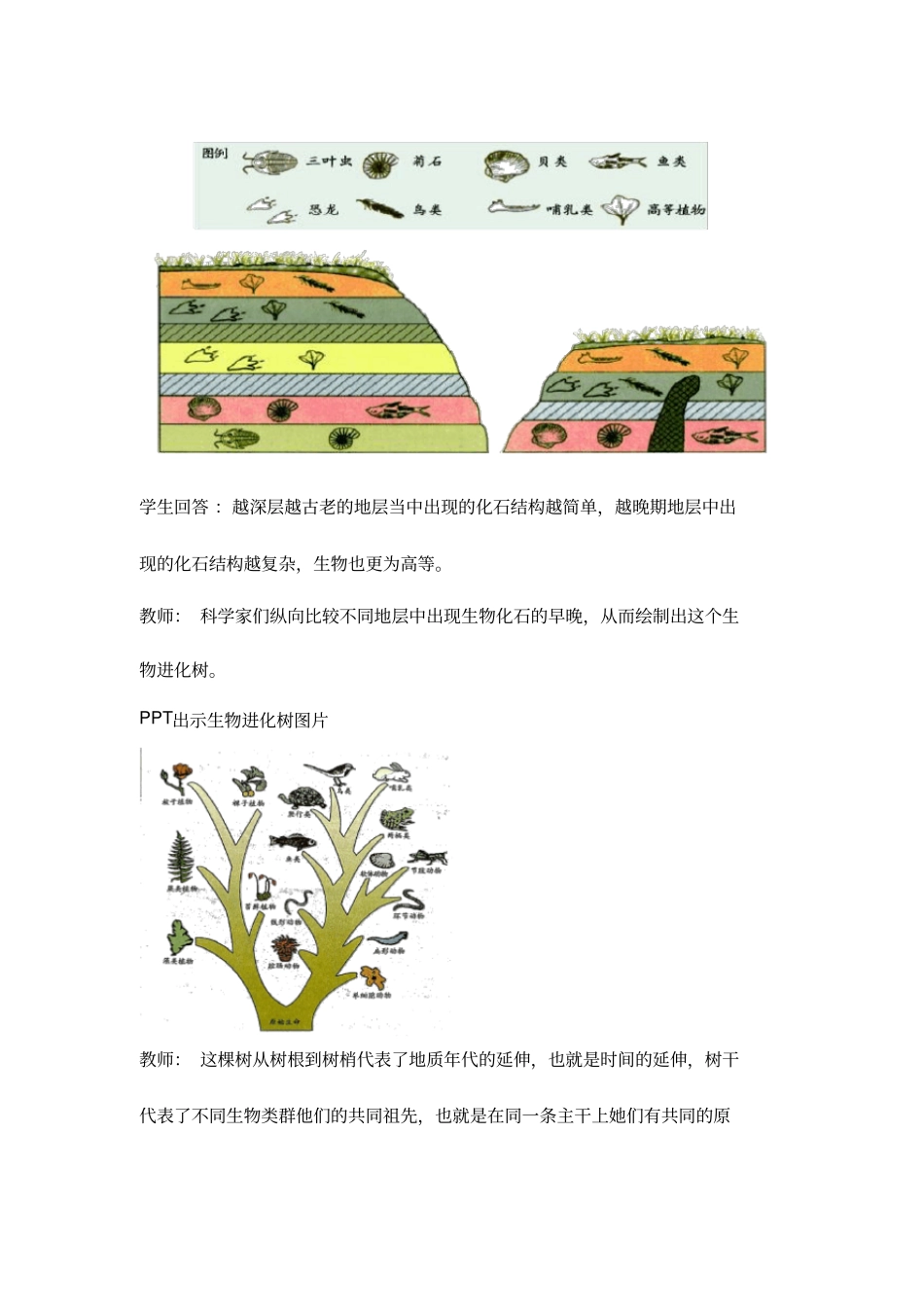 初中生物《生物进化的历程》优质课教案、教学设计_第2页