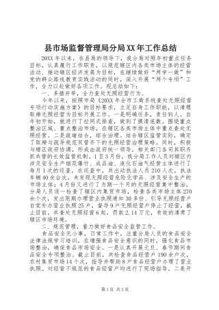 县市场监督管理局分局工作总结