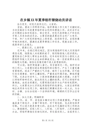 在乡镇夏季秸秆禁烧动员致辞