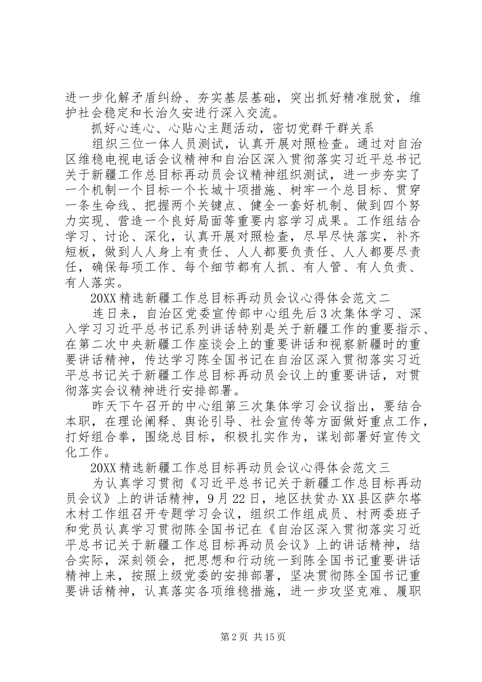 新疆工作总目标再动员会议心得体会_第2页