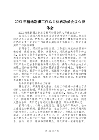 新疆工作总目标再动员会议心得体会