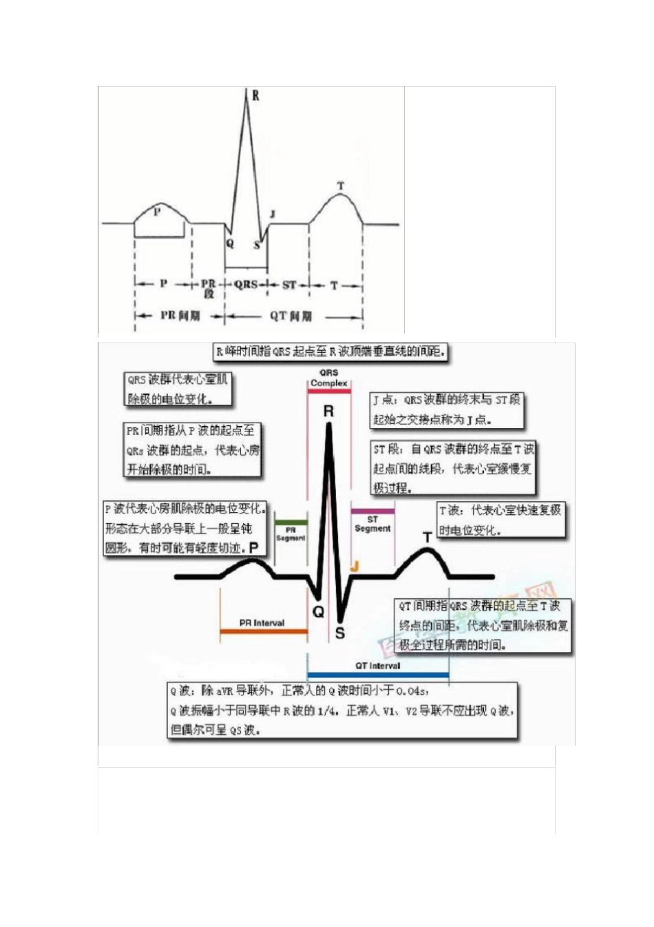 心电图基础知识_第1页
