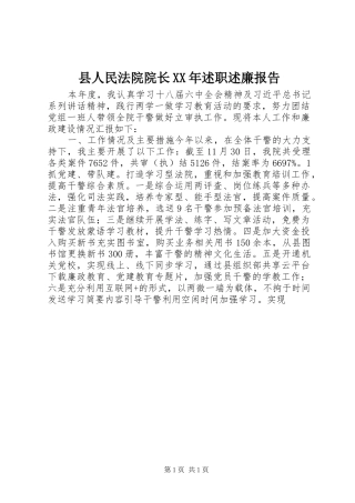 县人民法院院长述职述廉报告