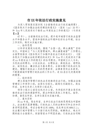 市依法行政实施意见