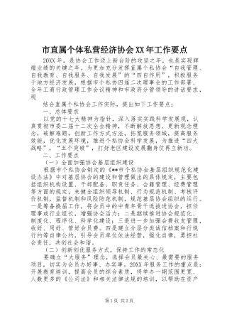 市直属个体私营经济协会工作要点