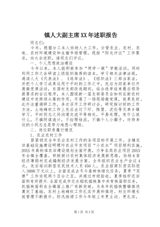 镇人大副主席述职报告