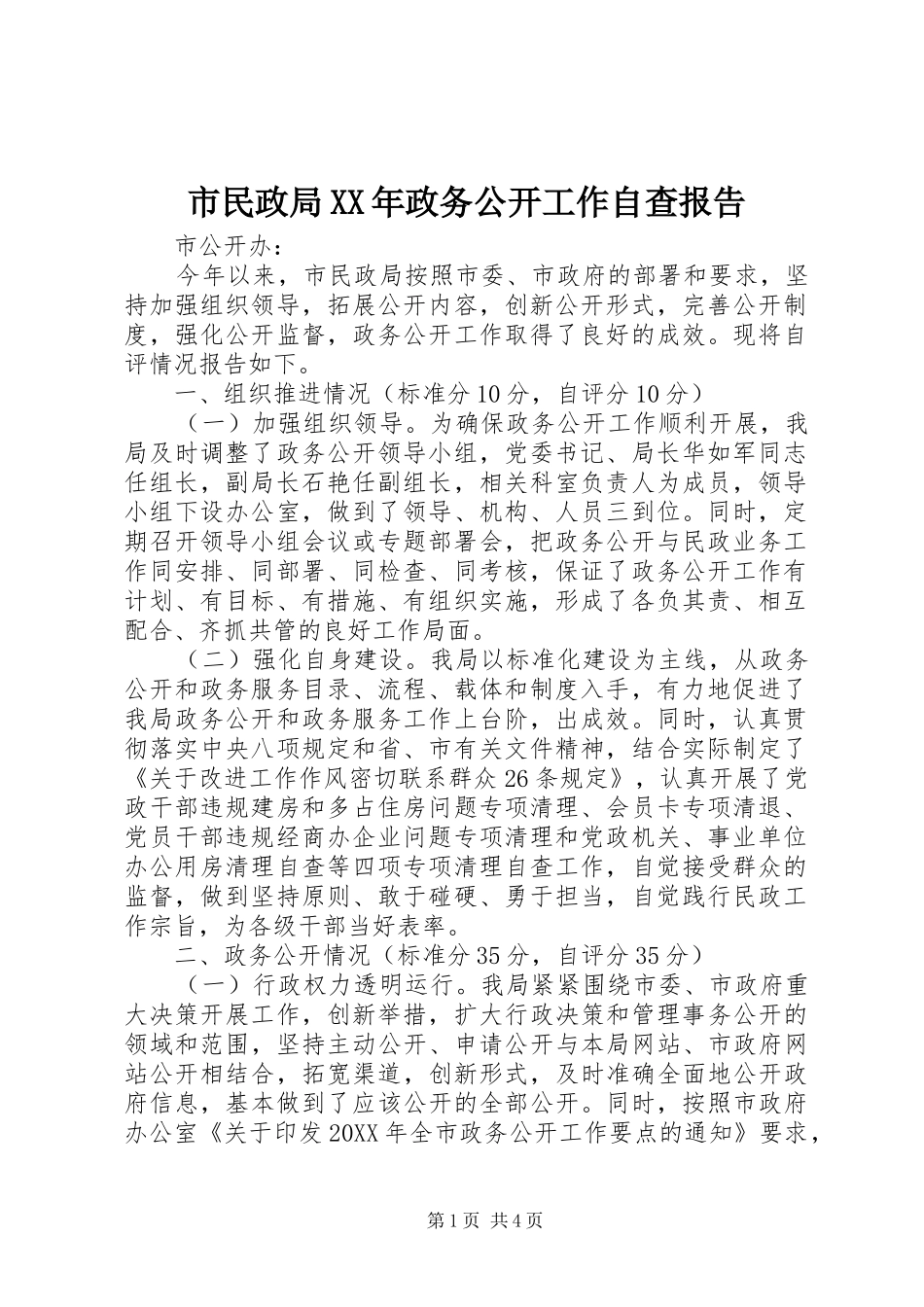 市民政局政务公开工作自查报告_第1页