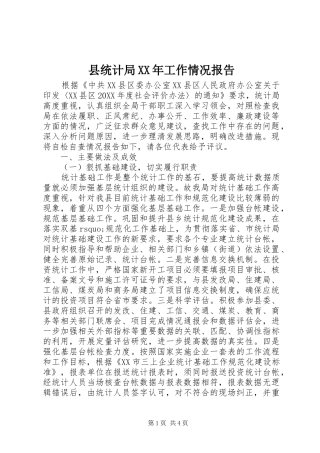 县统计局工作情况报告