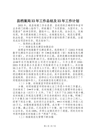 县档案局工作总结及工作计划