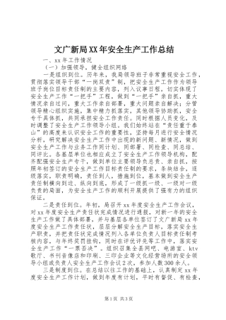 文广新局安全生产工作总结