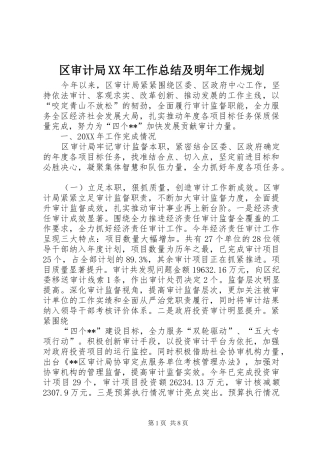 区审计局工作总结及明年工作规划