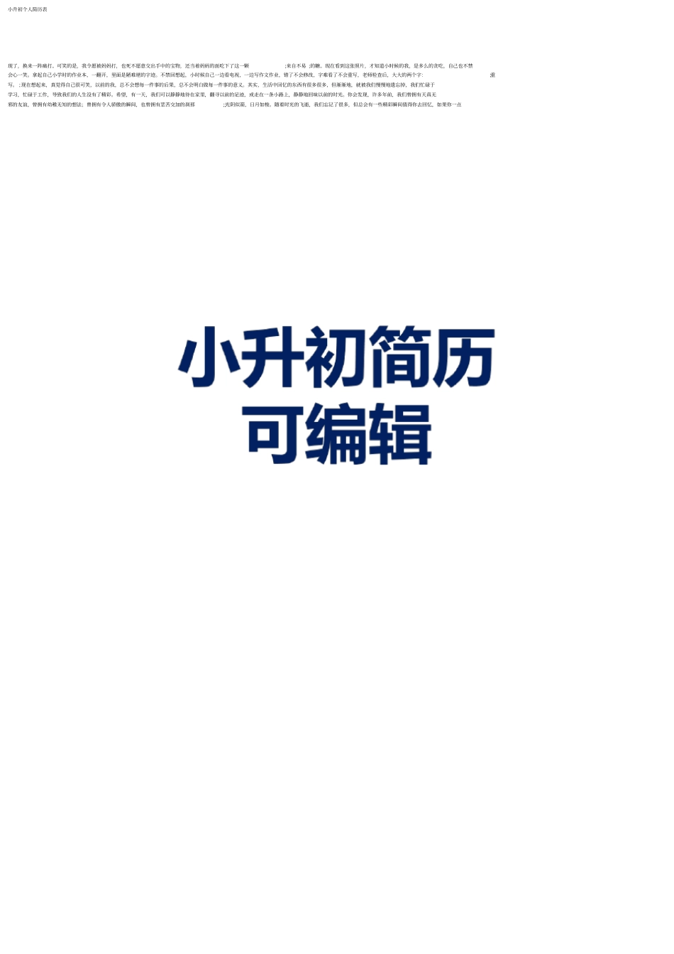小升初个人简历表_第1页