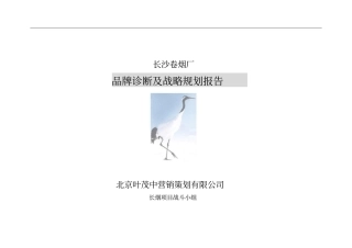 叶茂中-品牌诊断及战略规划报告