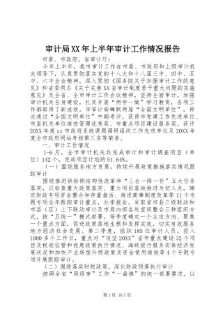 审计局上半年审计工作情况报告