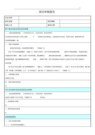 商业保理规划项目审核报告