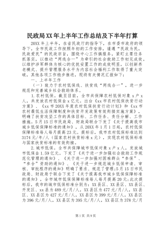 民政局上半年工作总结及下半年打算