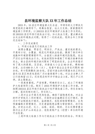 县环境监察大队工作总结