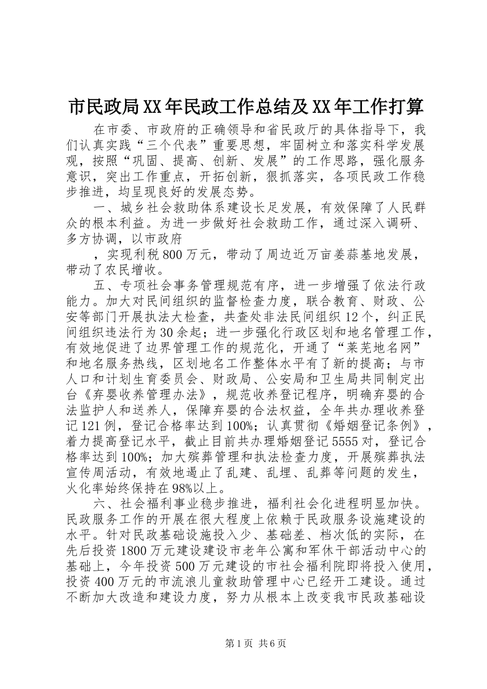 市民政局民政工作总结及工作打算_第1页