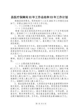 县医疗保障局工作总结和工作计划
