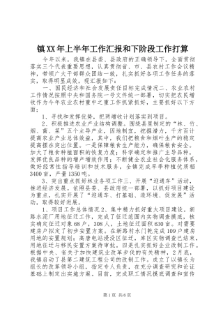 镇上半年工作汇报和下阶段工作打算
