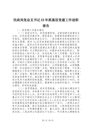 民政局党总支书记抓基层党建工作述职报告