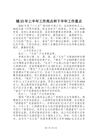 镇上半年工作亮点和下半年工作重点