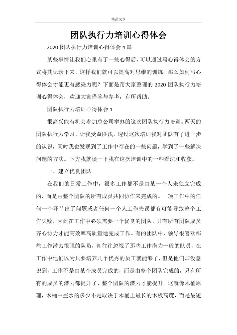 团队执行力培训心得体会_第1页