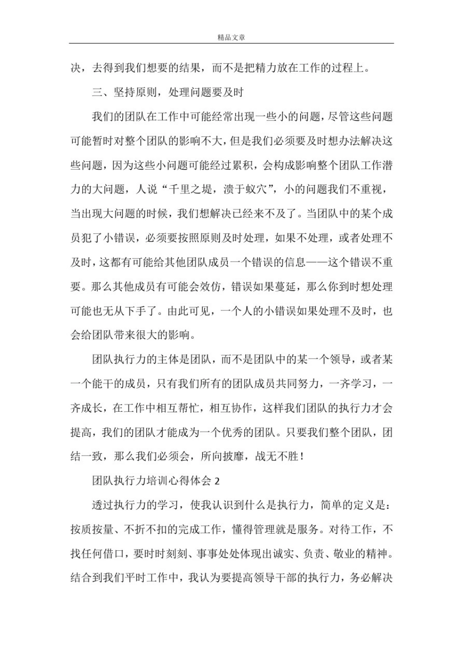 团队执行力培训心得体会_第3页