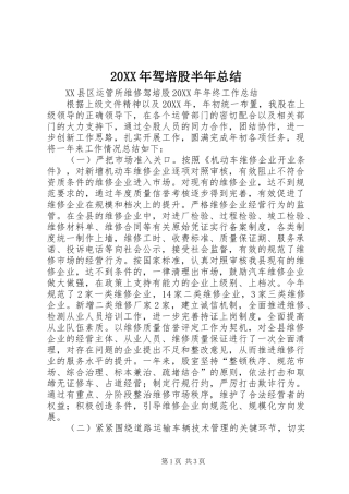 驾培股半年总结