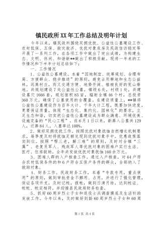 镇民政所工作总结及明年计划