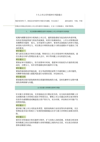 十大上市公司年报审计风险提示word版本