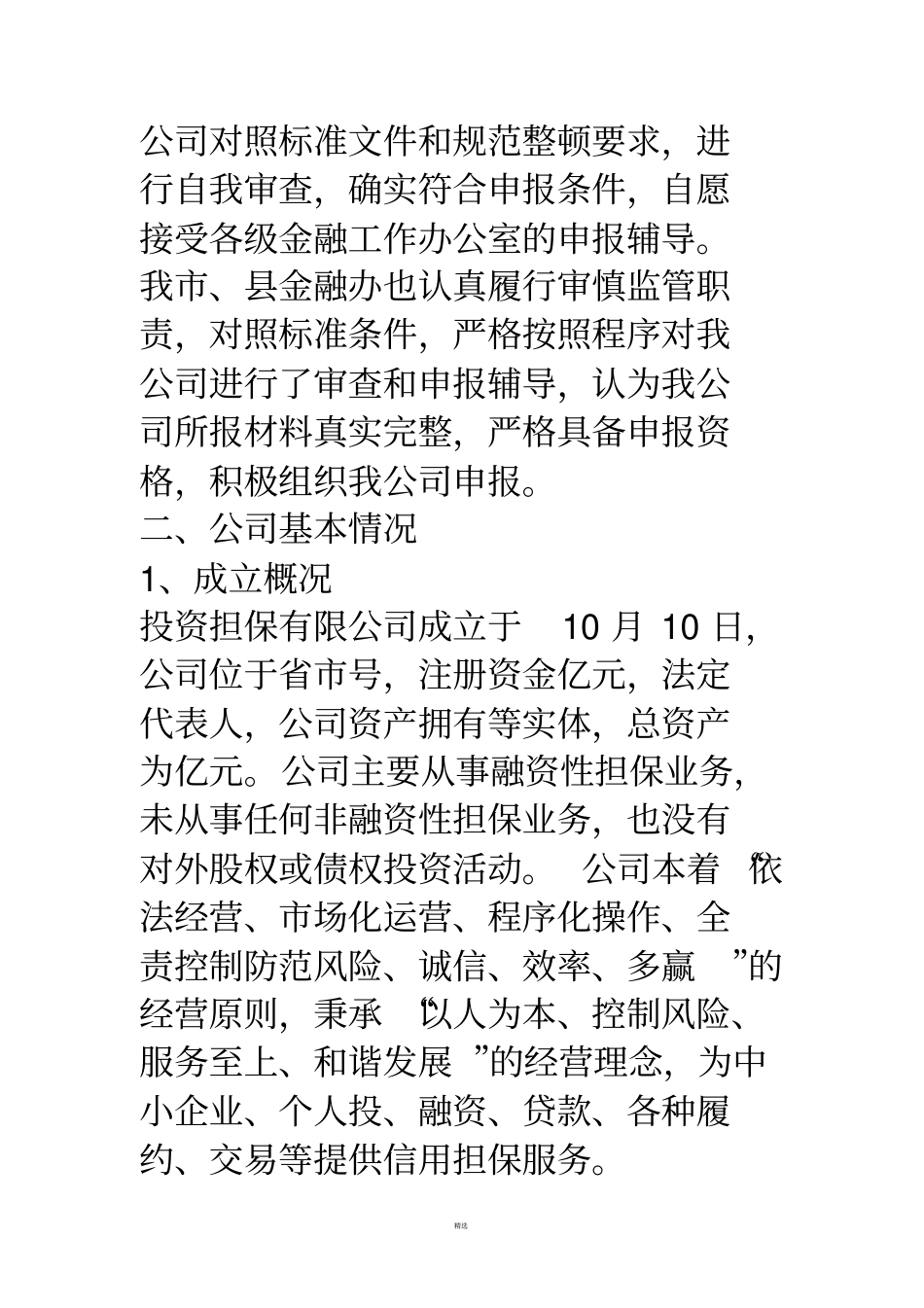 投资担保公司自查整改报告范本_第2页