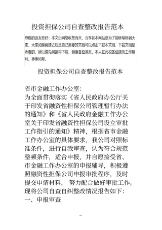 投资担保公司自查整改报告范本