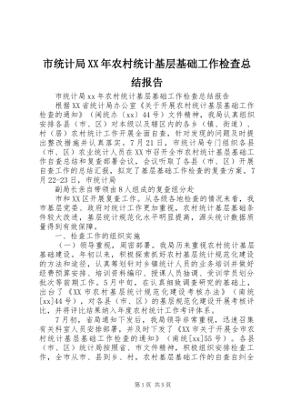 市统计局农村统计基层基础工作检查总结报告