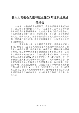 县人大常委会党组书记主任述职述廉述效报告