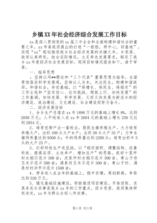 乡镇社会经济综合发展工作目标