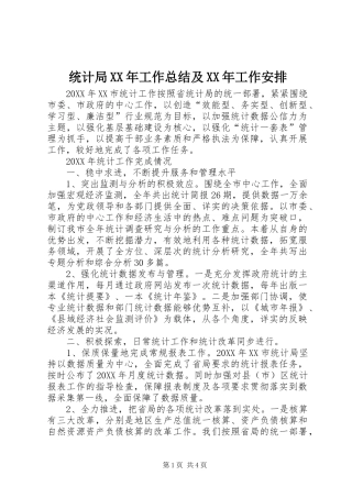统计局工作总结及工作安排