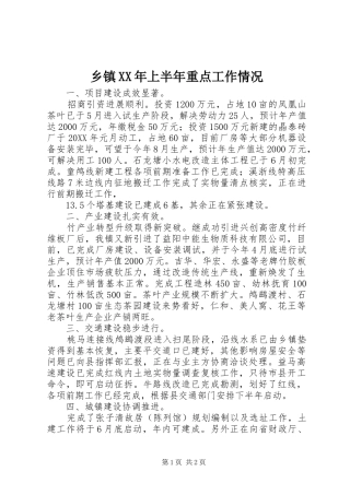 乡镇上半年重点工作情况