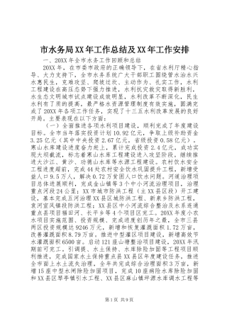 市水务局工作总结及工作安排