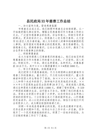 县民政局慈善工作总结