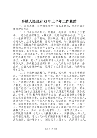 乡镇人民政府上半年工作总结