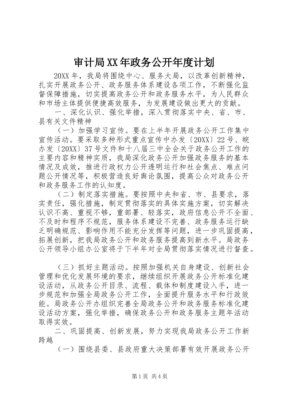 审计局政务公开年度计划_第1页