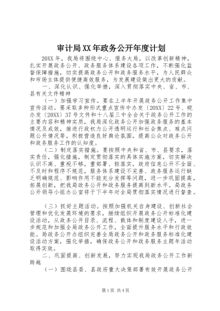 审计局政务公开年度计划