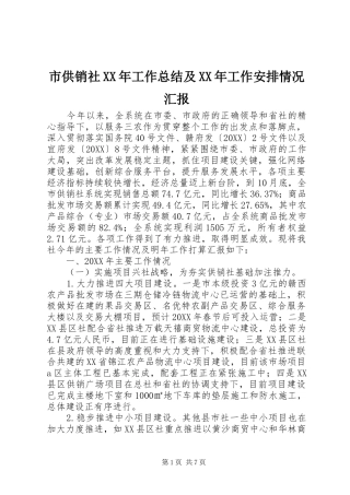 市供销社工作总结及工作安排情况汇报
