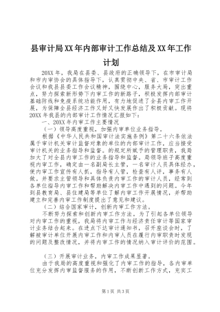 县审计局内部审计工作总结及工作计划