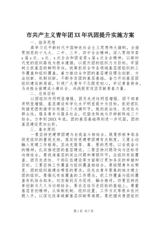 市共产主义青年团巩固提升实施方案